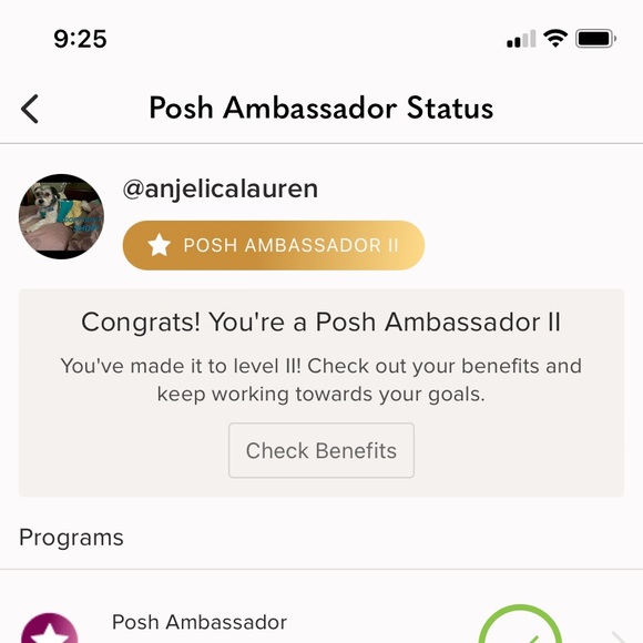 Meet your Posher, Lauren - Picture 8 of 13